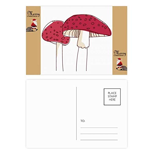 Cartes postales Père Noël en éponge lot de 20 pièces réalistes