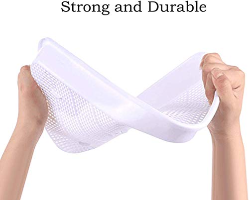 もやし栽培機 もやし栽培キット 水耕栽培器 もやし家庭菜園 スプラウト栽培 DIY BPAフリーPP無土壌 大容量 蓋付き 32.5 *26 *11.5cm 5枚目