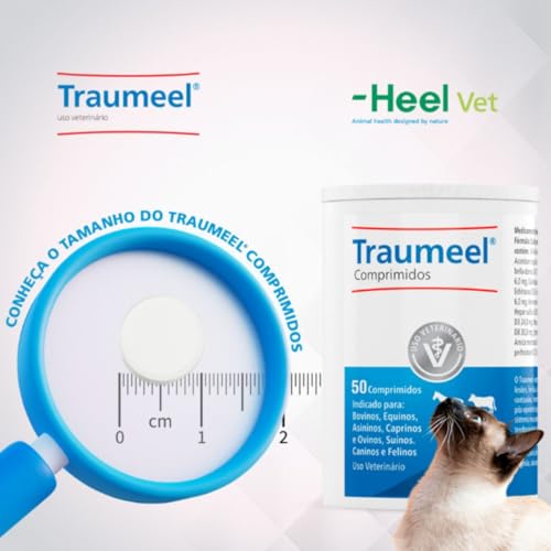Traumeel Uso Veterinário - 50 comprimidos