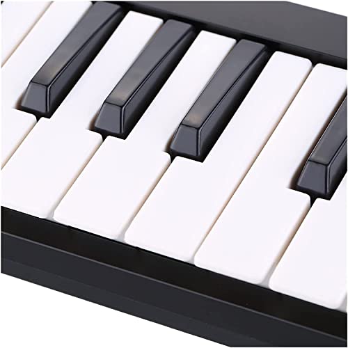 WKLIANGYUANPING Clavier de Piano 25 Mini 25 Portables USB MIDI Clavier de Piano contrôleur électronique - Les Beatles, Paul McCartney, John Lennon, RIngo Starr, George Harrison WKLIANGYUANPING Clavier de Piano 25 Mini 25 Portables USB MIDI Clavier de Piano contrôleur électronique – Image 3