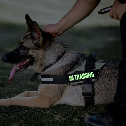 Molain 6 Stück/Set Reflektierende Hundewesten Patches Abnehmbare Hundegeschirr Patches mit Haken Custom Name Patch - Service Dog In Training Therapie Do Not Pet