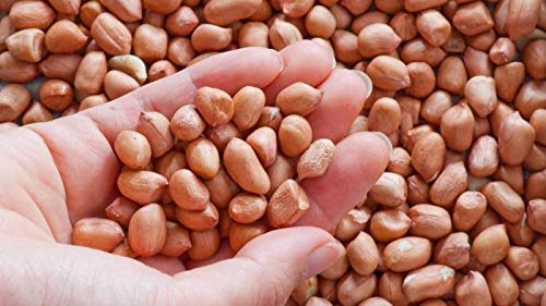 GroGreen Raw Peanut | Ground Nuts | Mungfali Dana | Singhdana 500gm