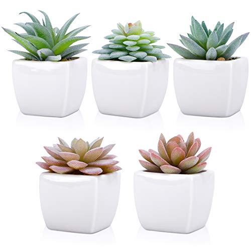 Funarty Artificial Succulent Plants In Pots, Fake Succulent Small Potted Faux Succulent Plants, Mini Fake Plants In White Ceramic Pots Set Of 5, Desk Plant For Home Bathroom Small Spaces Decoration #TOP2