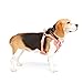 EveryYay Full Dog Harness Pink X-Large/XX-Large