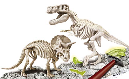Galileo Discovery – Ausgrabungs-Set T-Rex & Triceratops, Spielzeug für Kinder ab 7 Jahren, Ausgraben von Dinosaurier… – Bild 3