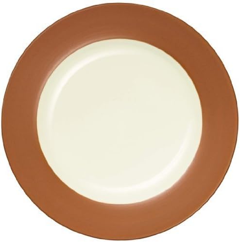 Noritake Colorwave Rim Salad/Dessert Plate, Terra Cotta by Noritake