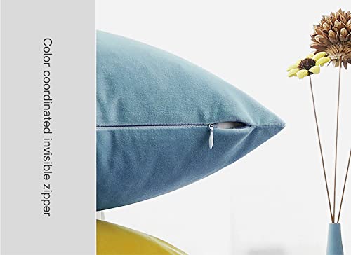 Cyuripu Pack Of 2 Velvet Light Blue Throw Pillow Covers 20 X 20 Inch Decorative Square Pillowcases Soft Cozy Cushion Cases For Living Room Sofa Bed Home Decor 50 X 50 Cm #TOP5