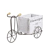 Amplia gama de aplicaciones: adecuado para dormitorio, sala de estar, comedor, balcón y otras colecciones decorativas, es el mejor regalo para amigos o niños.