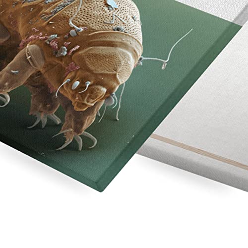 Tableau Tardigrade Microscope Toile Originale pour Mur Blanc Terne