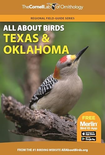 best bird feeders for brown headed cowbirds that will surprise you 6 All About Birds Texas and Oklahoma (Cornell Lab of Ornithology)