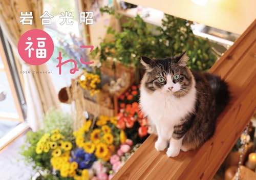 岩合光昭 福ねこカレンダー2026 (2026年)
