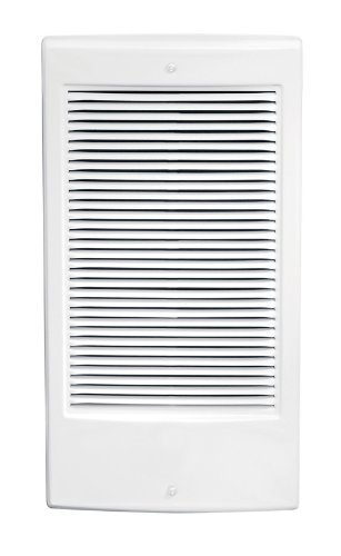 Dimplex TWH2031CW 2000/1500-Watt Fan Forced Wall Heater (Thermostat not  included) : Amazon.in: Home u0026 Kitchen
