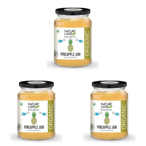 Image of Natureland Organics Pineapple Jam 250gm - Healthy Organic Jams (Pack of 3)