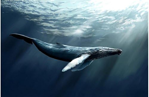 Yosot ホームデコレーション海底鯨写真壁壁画壁紙3d壁紙ウィンドウ壁画 300cmx210cm 壁紙 Amazon Yosot ホームデコレーション海底鯨写真壁壁画壁紙3d壁紙ウィンドウ壁画 300cmx210cm 壁紙 Amazon