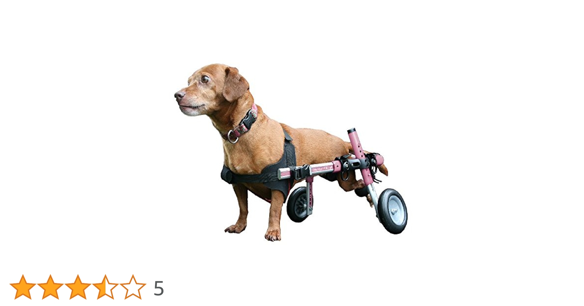 【最終価格】犬用歩行器　ダックス 楽天市場】＼ すぐ使える10%OFFクーポン！ ／ 【ミニチュア