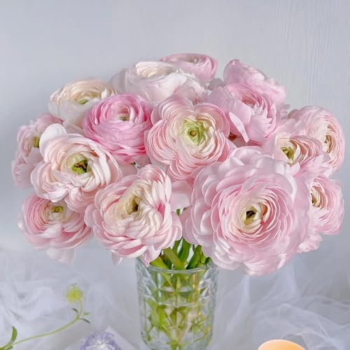 bulbi di ranuncolo resistenti - per piantare in casa tuberi di ranuncolo piante d'appartamento esotiche piante da interno per la decorazione pareti del giardino fiori decorativi 16pcs