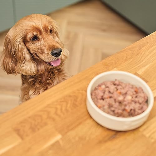 Lily's Kitchen Natural Adult Dog Food Wet Trays - Complete Grain-Free Multipack - Chicken, Fish & Venison (6 Trays x 150g) - View 7