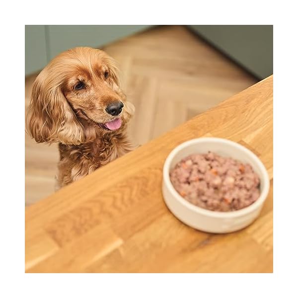Lily's Kitchen vollinhaltliches Nassfutter für Hunde, 400 g (6-er Packung) – Bild 6