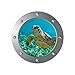 Wandtattoo Schildkröte Bullauge Wandaufkleber 3D Sea Life Wandaufkleber Runder Bullauge Wandaufkleber für Badezimmer, Wohnzimmer, Schlafzimmer und Babyzimmer 1 Stück (Meeresschildkröte)
