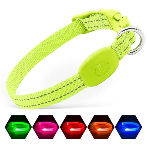 Illumifun LED Hundehalsband, Aufladbares Leuchthalsband für kleine Hunde, Sicherheitsleuchten für nächtliche Spaziergänge (Grün, XS)