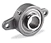 F2B-SCEZ-100-SH FLANGED Block Bearing ; 1 BORE 3.9" Bolt Circle 2 Hole"