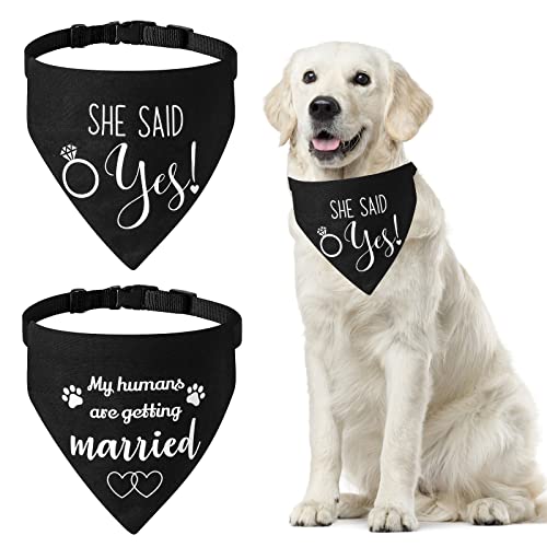HACRAHO Bandana per cani da sposa, confezione da 2...