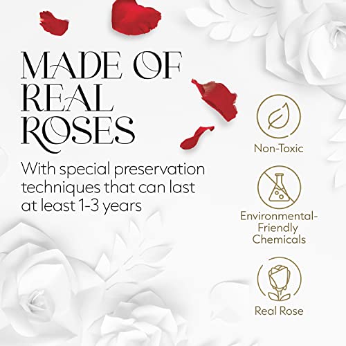 Glamour Boutique 7-Piece Forever Red Rose Box - Preserved Roses In A Box, Immortal Roses In A Box That Last A Year - Eternal Rose Preserved Flowers For Delivery Prime Mothers Day & Valentines Day thumb #3