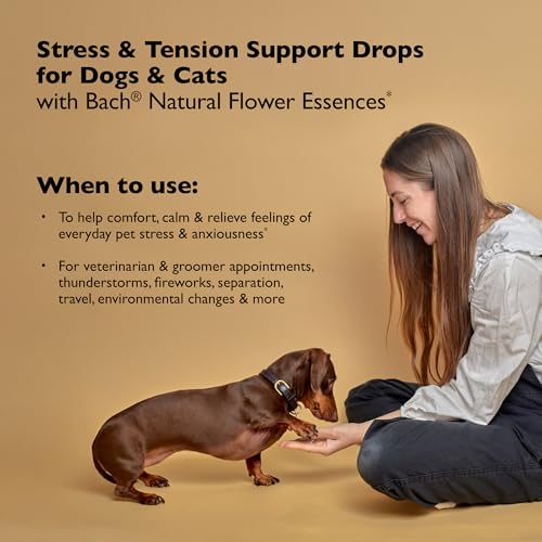 Bach Rescue Remedy PET Pipette 20 ml, natürlicher Stressabbau, beruhigend für Hunde, Katzen und andere Haustiere, homöopathische Blütenessenz, Donner, Feuerwerk & Reisen, Trennung, Sedative-Free