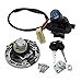 Compatible with Kawasaki Ninja 250R EX250J 300 EX300 2008-2015 Motorcycle Ignition Switch Kit Assembly Fuel Gas Cap Tank Cover with 2 Keys