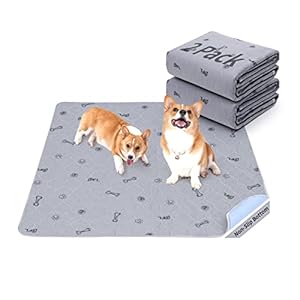 Washable Pee Pads for Dogs, 2Pack Puppy Pads Washable with Bone Print,Absorbent Reusable Whelping Pads Non-Slip Dog Mats for Floor Protector, Couch Cover, Crate, Potty Training 31×36