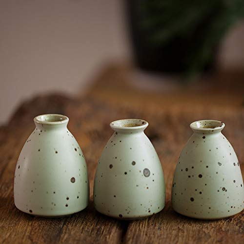 Vase hydroponique en céramique TUSUOD pour arrangement de fleurs - 5