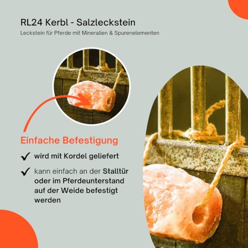 RL24 - Kerbl Salzleckstein – Leckstein für Pferde mit Mineralien & Spurenelementen – Pferdeleckerlis aus 100% Bergkristallsalz – Mineralleckstein mit Kordel – Zusatzfutter – 1 x 1750 g