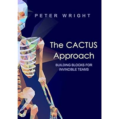 The Cactus Approach - Building blocks for invincible teams