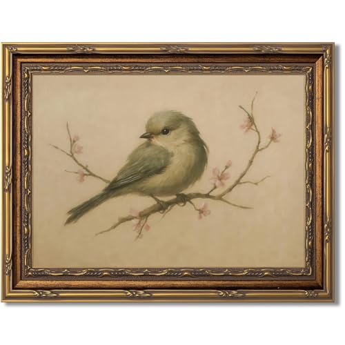 Myzoran Gold Framed Bird Canvas Wall Art,Vintage Birds Wall Decor