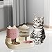 Bothyi Automatic Cat Feeder Waterer Food Feeder Removable Double Bowl Pet Water Food Bowl with Water Dispenser for Laundry Rooms
