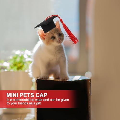 Gorrito de Graduación para Mascotas Mini 4 piezas miniatura 5