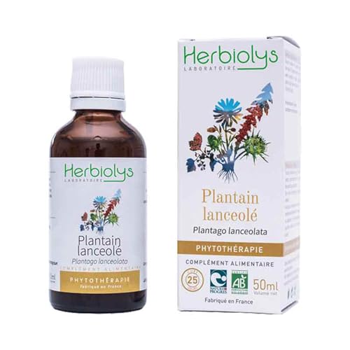 Herbiolys | Extrait De Plantes Fraîches Bio | Plantain lanceolé (Plantago lanceolata) | Troubles ORL & Respiration | Phytothérapie Bio | 50 ml