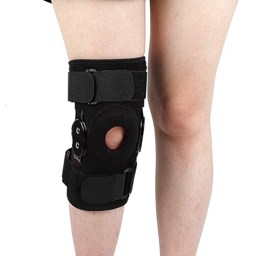 X|[cpGT|[^[ X`[v[gt G֐ߕی oht bVʋC yʐ݌v