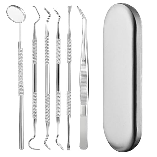 Image of Teeth Cleaner Tool Kit Stainless Steel Plaque Tartar Remover Set of 6 with Metal Case, Tweezers, Oral Mirror, Teeth Cleaner, Probe, Stain Remover