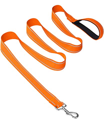 Joytale Hundeleine für Große und Mittelgroße Hunde, Doppelseitig Reflektierende Leine Hund aus Nylon mit Gepolstertem Griff, 1,8m x 2,5cm, Orange
