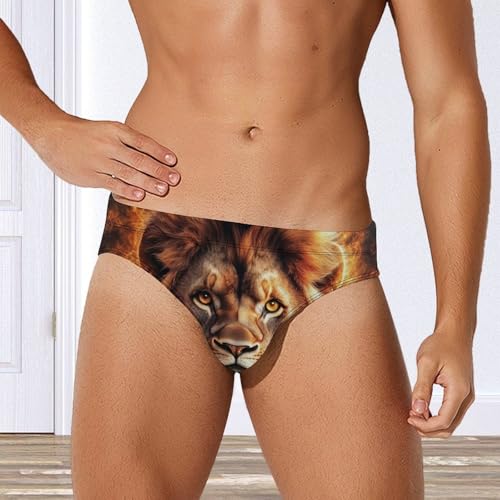 Rasta and Lion Burning Flame Mens Swim Briefs Sexy Bikini Swimwear Bathing Suits Trunks4
