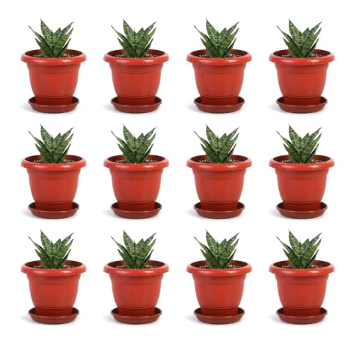 Image of Bonkaso 8 Inch Plant Pots with Drainage Plate (Set of 12, Red) | Heavy Duty Plastic Flower Pots for Indoor & Outdoor Plants | UV Resistant Garden Pots for Balcony, Terrace, Home & Nursery