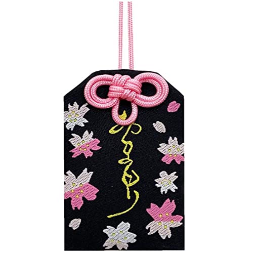 Danlai 1pc Omamori Pregare Fortune Beauty Health Safe Safe Transparent Wealth Borse Guard Gollo Regalo Per Coppia Del Portachiavi