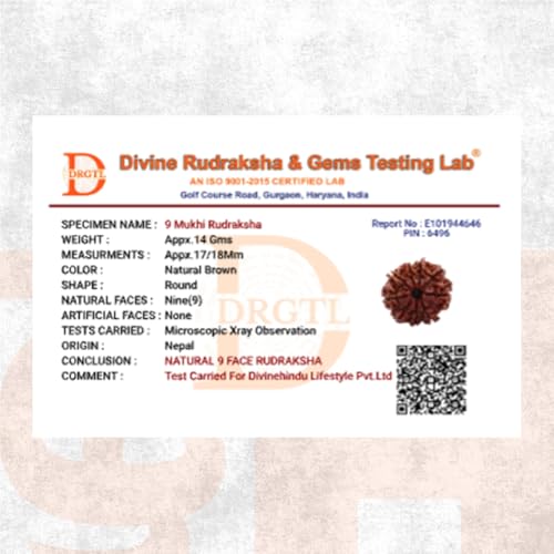 Image of Divine Hindu 9 Mukhi Nepali Rudraksha Natural Loose Bead Nine Face Original Certified Nau Mukhi Fearless Protection Spiritual | Natural Brown Prayer Beads for Meditation, Success & Protection 18mm