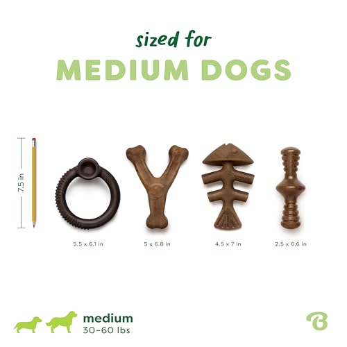 Image of Benebone Limited Edition Blueberry Medium 4-Pack Dog Toys for Aggressive Chewers, Durable Dog Bones, Made in USA, Dog Toys for Medium Dogs Under 60 lbs