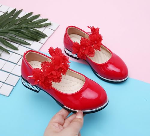 Girls Dress Shoes Flower Flats Ballet Ballerina Mary Jane Wedding Party Shoe4