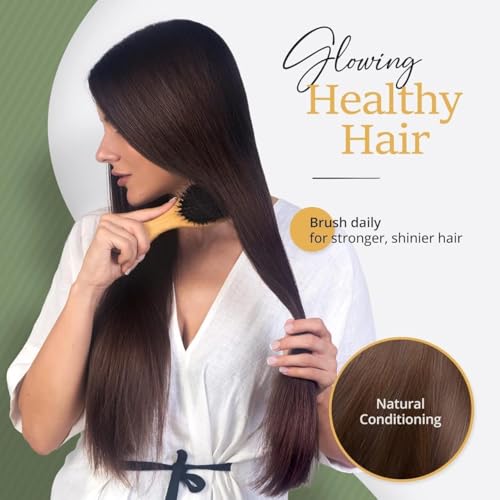 Image of Belula Boar Bristle Hair Brush - Hair Brushes for Women & Mens Hair Brush, Detangler Brush, Hairbrush, Detangling Brush for Long, Curly or Any Type of Hair. (Pack of 2)
