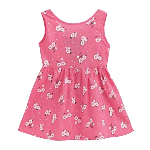 [veolaimy] q m[X[u s[X LbY ̎q   ʋC Wp[XJ[g K[Y ؍  vZXhX  vg 킢 hX WjA lC  ʊw ʉ i ][g Mtg(A-X