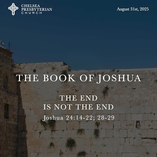 Page de couverture de The End is Not the End
