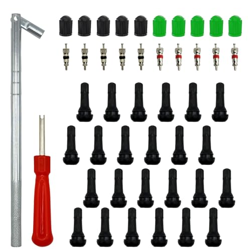 LLAUTOOLS Valve Stem Puller and Installer,24Pcs Tr413 Snap-in Tire Valve